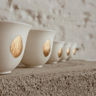 Translucent Cup/two sizes