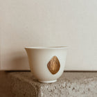 Translucent Cup/two sizes