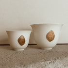 Translucent Cup/two sizes